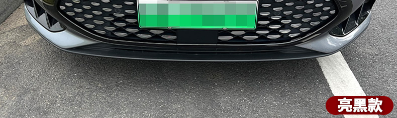Black Warrior Grille Trim Front Hood Eyebrow Kit for BYD Han DMI