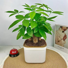 lֲؔ҃Ȼֲ҃ȻGֲ҃ȿ͏dBСl