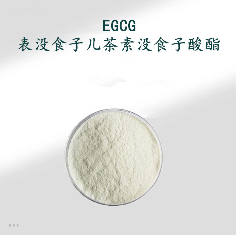 EGCG98% 表没食子儿茶素没食子酸酯  绿茶提取 现货直发
