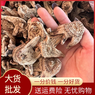 ��ܸ��ș�����l�����ܸ�׼�����Ƭ��Ҏ���Rȫ����ă��в�ș