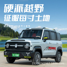 老头乐电动越野四轮代步双排四座新能源汽油电两用家用接送代步车