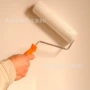 有色抗碱防霉封闭底漆