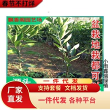 �����������������Ե��ԟo��ɰ�����ٳ��ٽ���ϱ����N����Y��