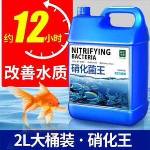 ���������~��ˮ�|�������Ä����������~���~�����_���Bˮ�~�׾S�o