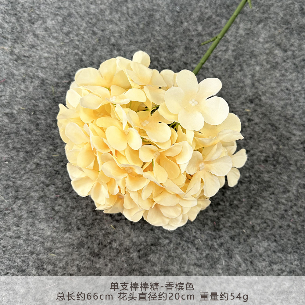 Mm-single lollipop-champagne color