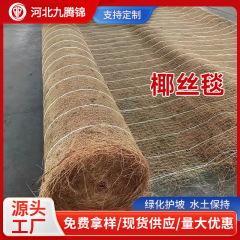 厂家供应加筋椰丝生态植被毯固定边坡椰丝毯快速绿化植物纤维草毯