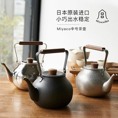 宮崎製作所日本輸入18-8ステンレスレトロ急須湯せんフィルター付き茶器
