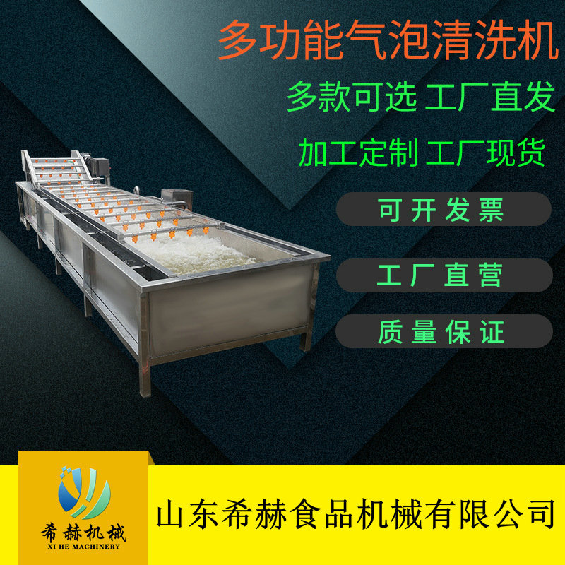 气泡清洗机 橘子大枣蓝莓清洗设备 枸杞土豆红薯清洗流水线
