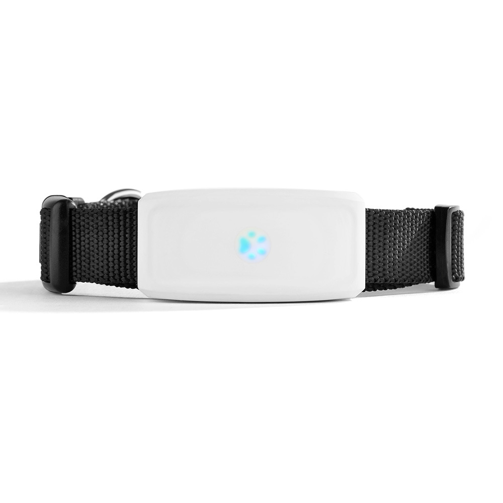 Wifi+Gps+Lbs Positioning Adsorption Charging Tk911 Pet Cat and Dog Gps Tracking Locator