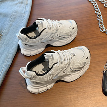 yɫϵЬŮ2024¿ļW͸pe\Ь