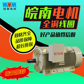 皖南电机Y2系列高压三相异步全铜线圈电动机55kw90kw厂家直销