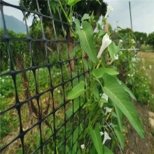 旺季来袭圈玉米塑料网施工方便防晒送扎带300gpp防护耐用园艺