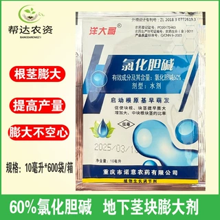 洋大哥60%氯化胆碱 红薯甘薯马铃薯地下根茎膨大剂调节生长膨大素