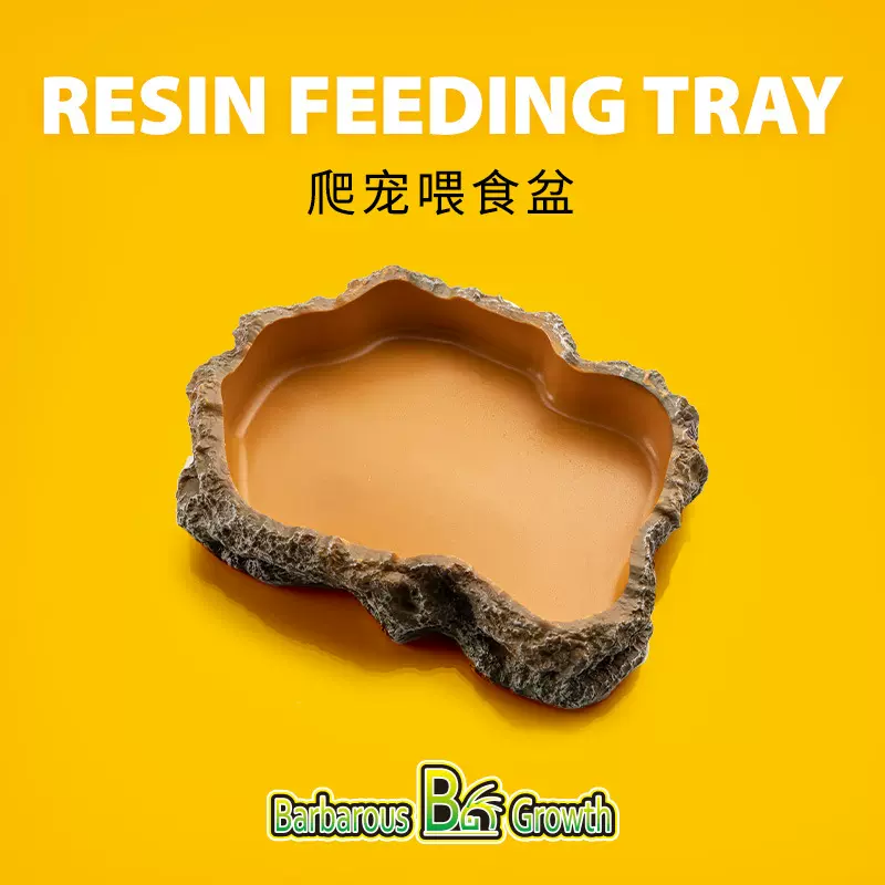 爬宠守宫蜥蜴乌龟角蛙爬虫用品饲养箱投食夜光水碗宠物食盆树脂