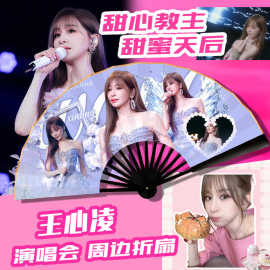王心凌演唱会应援折扇定制偶像爱豆携便扇子定制文字图片定制logo