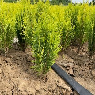 ������������ļ�����ͥԺ�e���G�������粻���~�ͺ�����Gֲ�G��