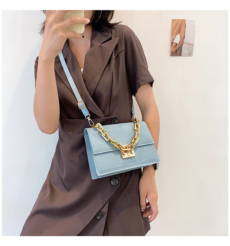 Fashion Fashionable Small Square Bag 2021 Spring And Summer New Chain Women's Bag Shoulder Crossbody Small Handbags One Piece Dropshipping display picture 8