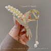 Metal advanced elegant shark, hairgrip, crab pin, brand big hair accessory, high-quality style, South Korea