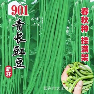 �����ڡ�901���L���ǷN���L���������N���������ظ߮a�����߲���