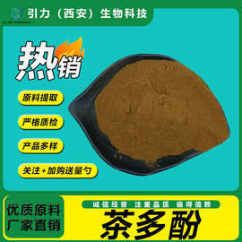 茶多酚98%  水溶性 绿茶提取物 食品级保健原料 天然抗氧化剂包邮