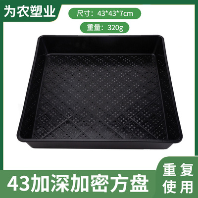 7.5cm高种植盘苗盘芽苗盘石斛盘长方盘育苗托盘正方盘芽菜育苗盘