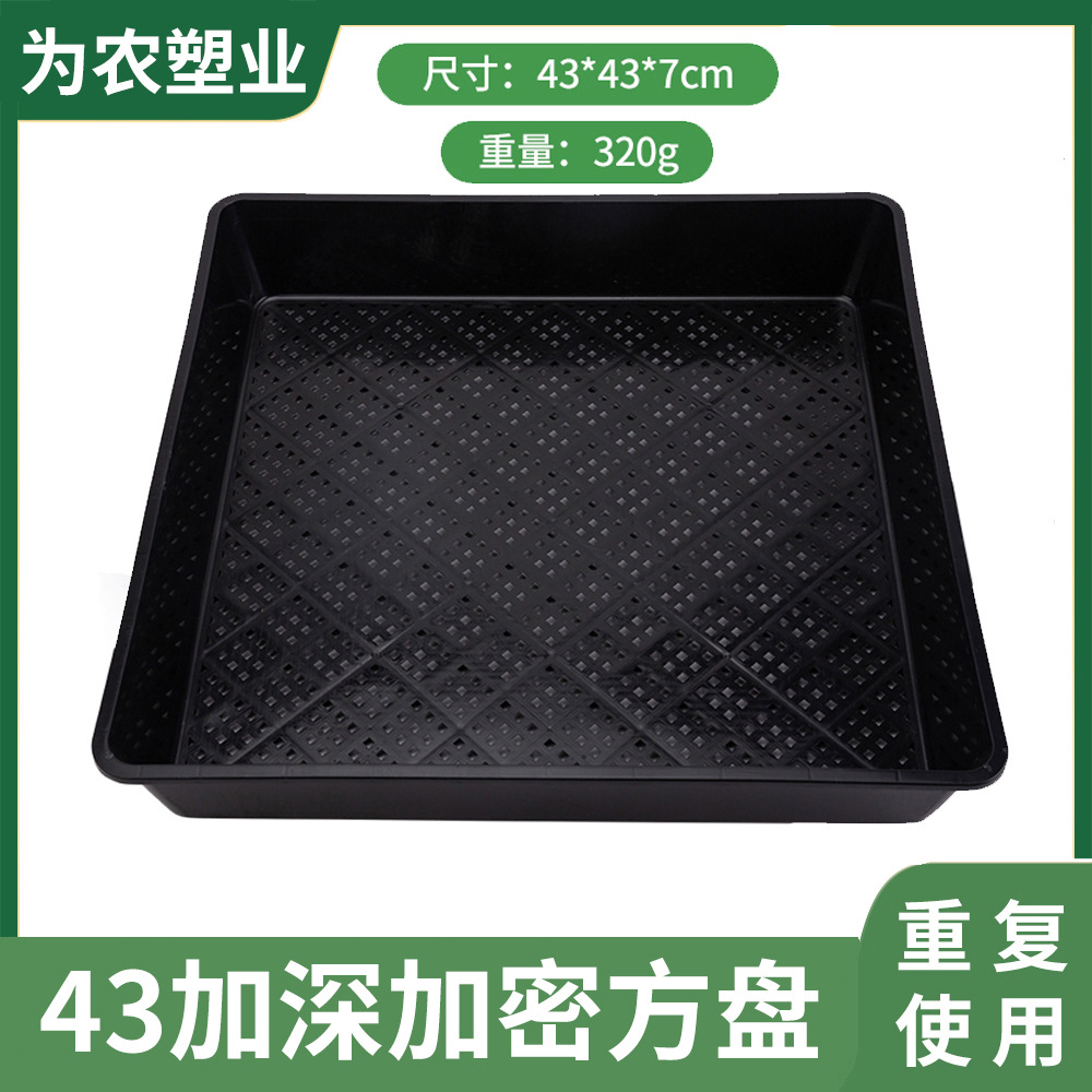 7.5cm高种植盘苗盘芽苗盘石斛盘长方盘育苗托盘正方盘芽菜育苗盘