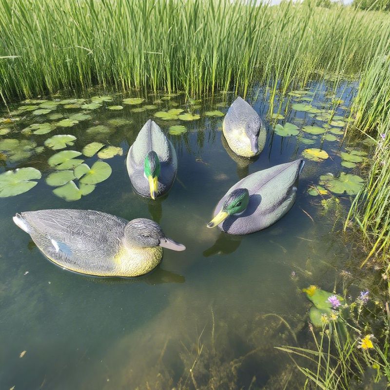 国境を越えた屋外庭園用シミュレーション餌物DUCKモデル、庭園造園装飾品、プラスチックPEブロー成形浮遊狩猟用アヒル|undefined