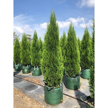 �������ɰ؂Ȱر�؈A���ɘ䌚����������ؘ�G���ļ���