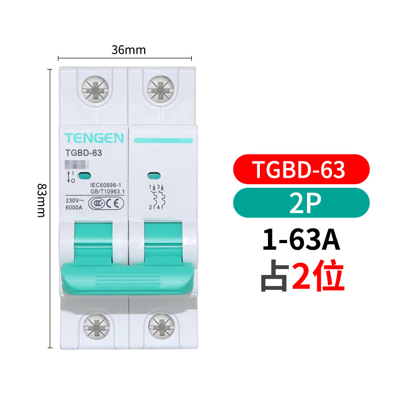 Tianzheng TGBD - 63 interruptor de aire 2p interruptor 1p hogar 3P trifásico 32a pequeño disyuntor 100a vacío image 12