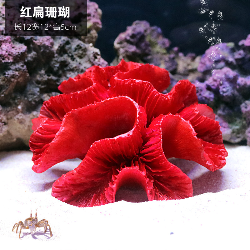 珊瑚1401