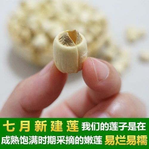【送料無料】建寧蓮の実グレードの新鮮な大粒硫黄不使用手作り芯抜き福建白蓮の実|undefined