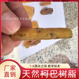 Containing Insect Copal Resin 3- 6cm Copal Resin in Stock 1cm or so Fossil Specimens Imitation Amber