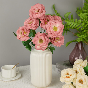 �W�t����{����õ��   �Ҿ�ܛ�b/��c�b�/ins �L���յ���/�̳��