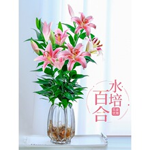 ˮ��ֲ����ˮ�ٺϻ����Ԏ������҃Ⱥ��B�͏d�̨����ˮ�B�ļ��_��