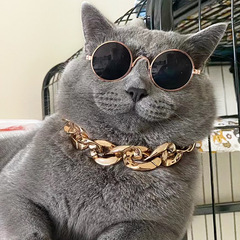 Cat Necklace Dog Chain Corgi Teddy Bully Gold Chain Fashion Accessory Manufacturer Wholesale Pet Necklace