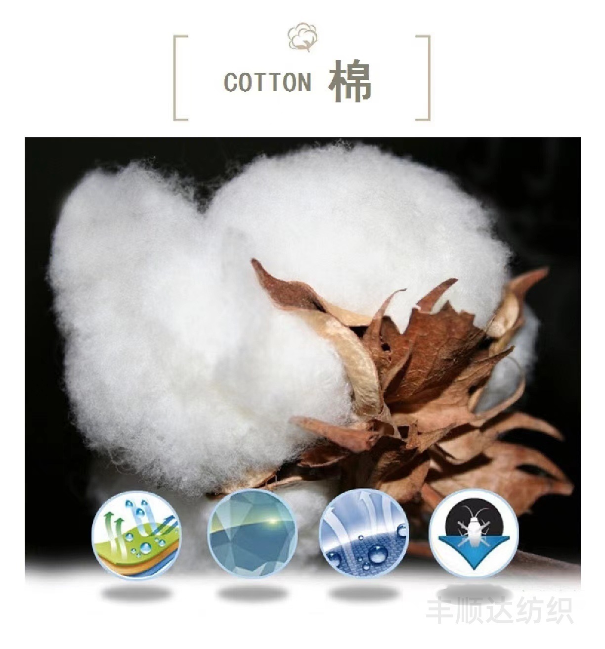 微信图片_20241126231934