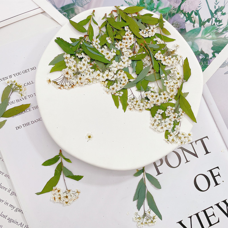 微信图片_20220918005428