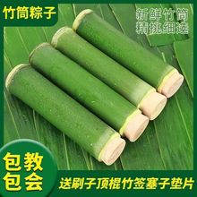 【24小时发货】竹筒粽子模具家用商用夜市摆摊绿色竹子手工制包邮