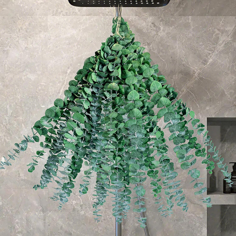 녹색 유칼립투스 잎 20개