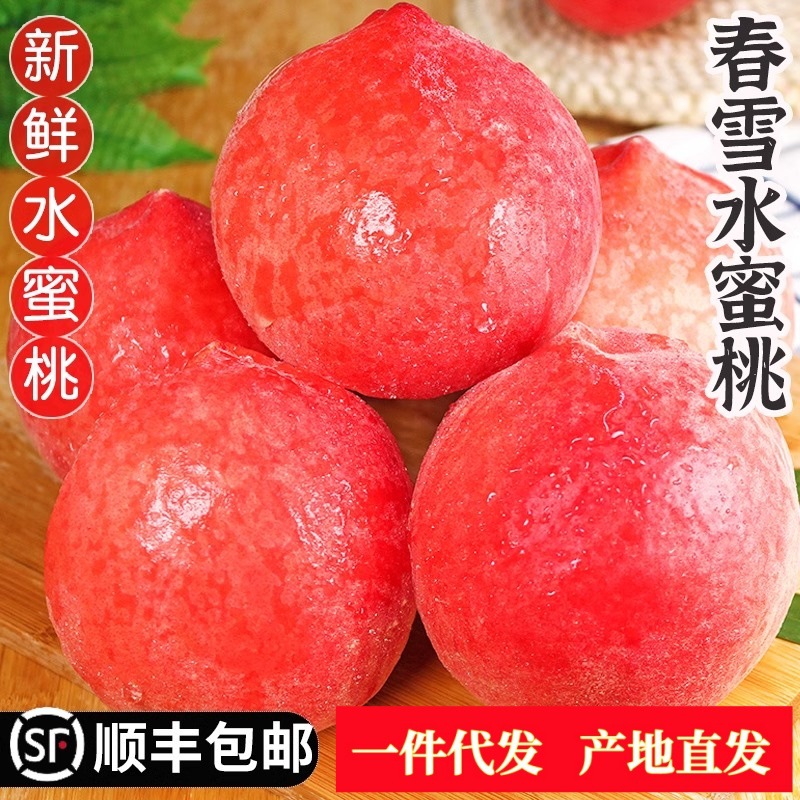 春雪水蜜桃5斤现货脆桃毛桃时令孕妇桃子水果新鲜当季整一件代发