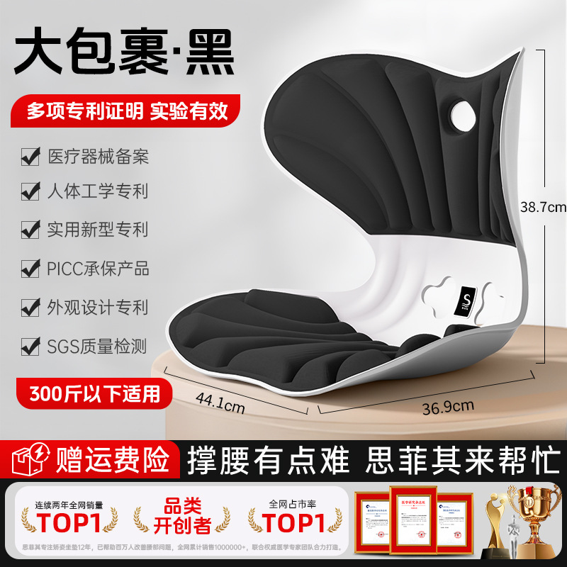 Pro+ 풀 패키지 지원 - 미스테리어스 블랙 [ 150kg 이내]