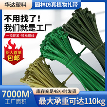 �S��ֱ�N�@�ַ���ֲ�������������ڰ��b������2.5&times;100