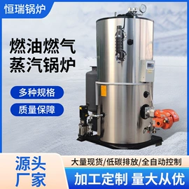 蒸汽发生器;特种锅炉;燃气锅炉