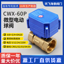 CWX-60P΢��늄��y�T ��Ť��DN20 6��ֱͨ�~���y��ˮ�y�S�����l