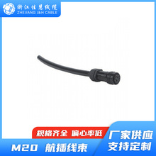 M20 ���往�� ����L���Դ����̖��ݔ  ���o�ȼ�IP67