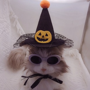 Halloween Party Pet Hat Pumpkin Headwear Pet Hair Accessories Mage Dress Up Hat Holiday Gift