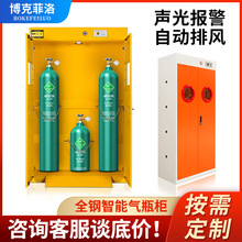 博克菲洛气瓶柜实验室气体安全柜带报警乙炔煤气氧氮气全钢气瓶柜