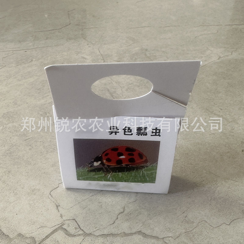 异色瓢虫卵卡顺丰包邮锐农牌防治蚜虫昆虫天敌有机林园艺昆虫生物