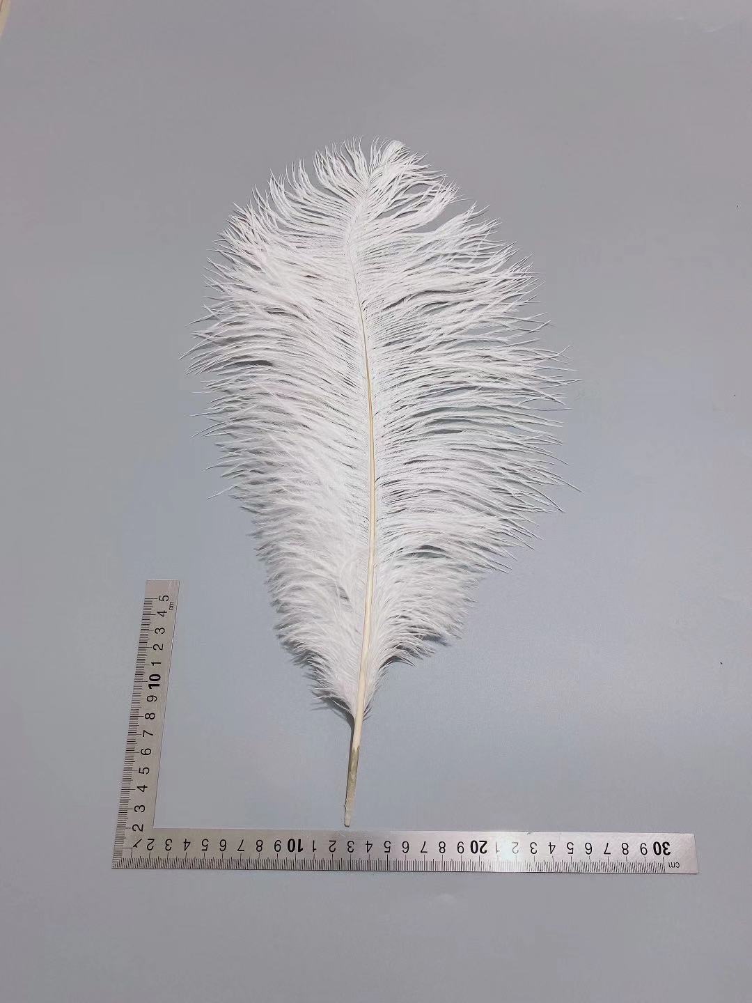 0bd9217416d7af391c17408355860e