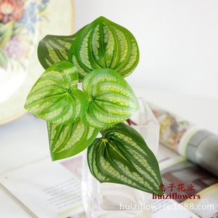 ���u����С�Gֲ 6ƬС�������~ˮ���~ ���^ֲ�С�辰����